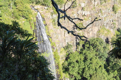 Morans Falls Track, Lamington National Park - Accommodation Resorts 0