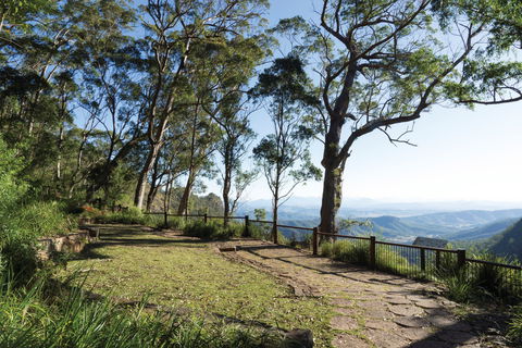 Morans Falls Track, Lamington National Park - Accommodation Resorts 1