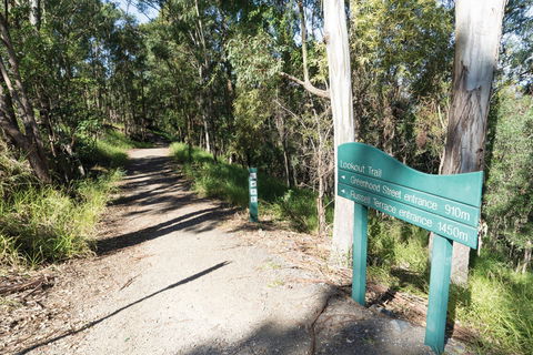 Mt Coot-tha Tourist Drive - Accommodation Resorts 0
