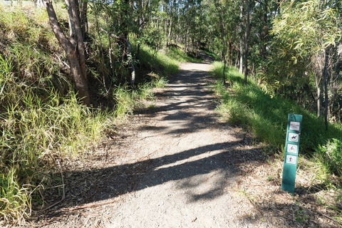 Mt Coot-tha Tourist Drive - Accommodation Resorts 2