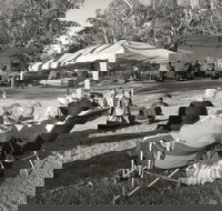 Pioneer Park - Accommodation Resorts