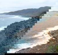 Pretty Beach to Snapper Point Walking Track - Accommodation Resorts