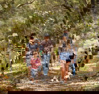 Russell Island Canaipa - Accommodation Resorts