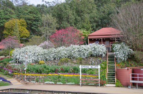 Spring Bluff Railway Station - Accommodation Resorts 1
