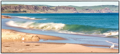 Starfish Hill Windfarm - Accommodation Resorts 0