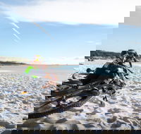 St Helens Mountain Bike Trails - Accommodation Resorts