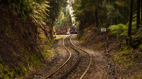 The West Coast Wilderness Way - Accommodation Resorts 0