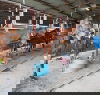 The Equine Club - Accommodation Resorts