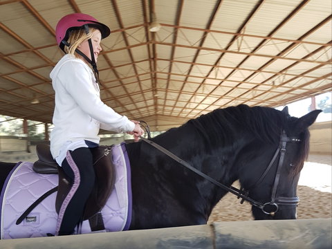 The Equine Club - Accommodation Resorts 1