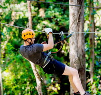 TreeTop Challenge Currumbin Wildlife Sanctuary - Accommodation Resorts