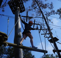 Trees Adventure Nowra Park - Accommodation Resorts