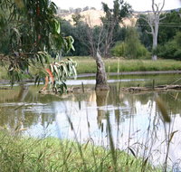 Tumut Wetlands - Accommodation Resorts