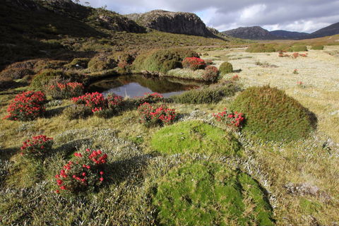 Walls Of Jerusalem National Park - Accommodation Resorts 1