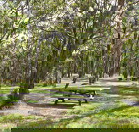 Wollomombi Gorge and Falls Picnic Area - Accommodation Resorts