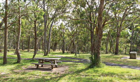 Wollomombi Gorge And Falls Picnic Area - Accommodation Resorts 0