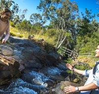 Yackandandah Gorge Scenic Walk - Accommodation Resorts