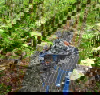 Yarra Ranges National Park - Accommodation Resorts