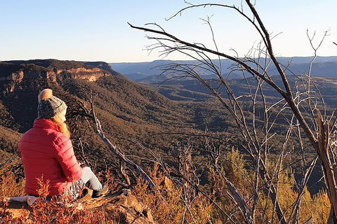 Ultimate Blue Mountains Waterfalls, Walks & Sunset PRIVATE Tour - Accommodation Resorts 5
