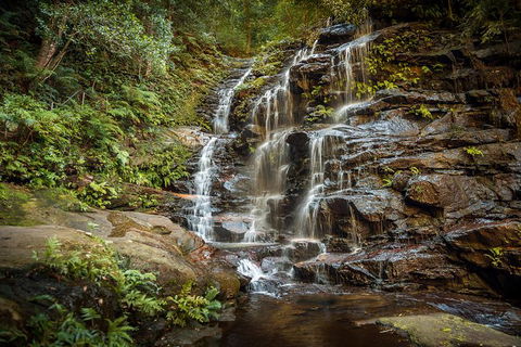 Ultimate Blue Mountains Waterfalls, Walks & Sunset PRIVATE Tour - Accommodation Resorts 10