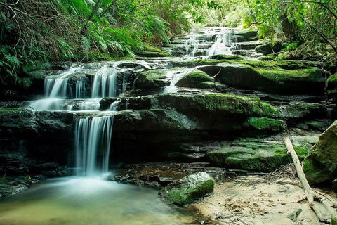 Ultimate Blue Mountains Waterfalls, Walks & Sunset PRIVATE Tour - Accommodation Resorts 2