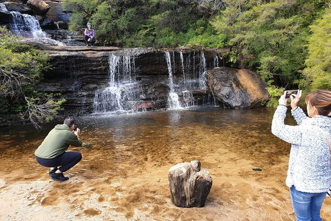 Ultimate Blue Mountains Waterfalls, Walks & Sunset PRIVATE Tour - Accommodation Resorts 0