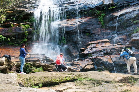 Ultimate Blue Mountains Waterfalls, Walks & Sunset PRIVATE Tour - Accommodation Resorts 11