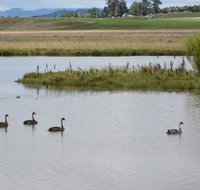 Beardy Waters Dam and Woodlands - Accommodation Resorts