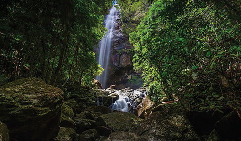 Protesters Falls Walking Track - Accommodation Resorts 1