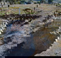 Wangaraleednie Monument  Ruins - Accommodation Resorts