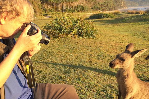 Highlights Of The Eurobodalla (half Day Private Tour) - Accommodation Resorts 2