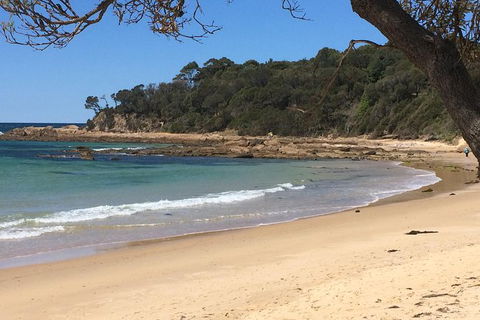 Highlights Of The Eurobodalla (half Day Private Tour) - Accommodation Resorts 5