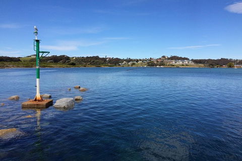 Highlights Of The Eurobodalla (half Day Private Tour) - Accommodation Resorts 14