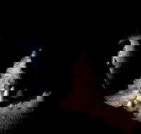 Jenolan Caves Extended Temple of Baal Cave Tour - Accommodation Resorts