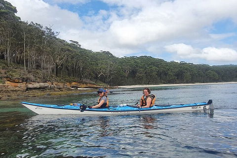Half-Day Jervis Bay Sea Kayak Tour - Accommodation Resorts 6