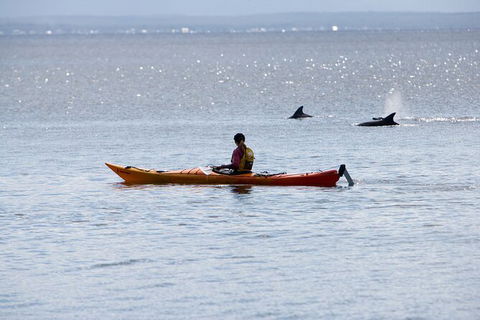 Half-Day Jervis Bay Sea Kayak Tour - Accommodation Resorts 4