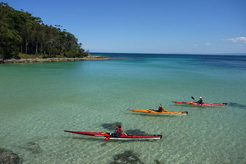 Half-Day Jervis Bay Sea Kayak Tour - Accommodation Resorts 3