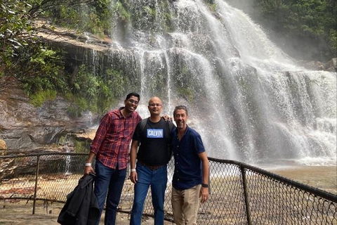 Blue Mountains Highlights & Wildlife Park - Accommodation Resorts 4