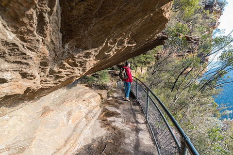 Blue Mountains Highlights & Wildlife Park - Accommodation Resorts 0