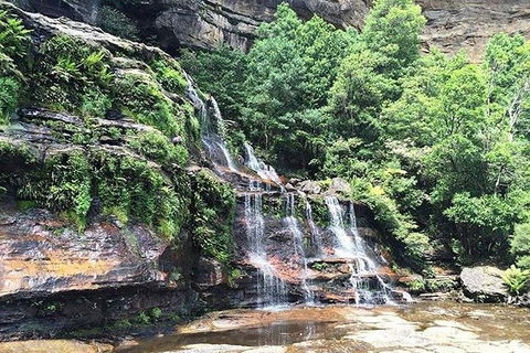 Blue Mountains Highlights & Wildlife Park - Accommodation Resorts 8