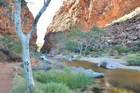 Alice Springs, Uluru Ayers Rock & Kings Canyon 8 Days Touring Package - Accommodation Resorts 2