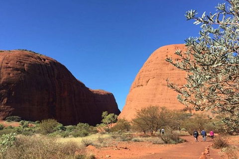 5-Hour Kata Tjuta Sunrise Tour From Ayers Rock With Breakfast - Accommodation Resorts 2