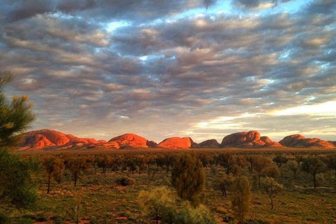 5-Hour Kata Tjuta Sunrise Tour From Ayers Rock With Breakfast - Accommodation Resorts 0