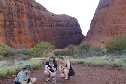 5-Hour Kata Tjuta Sunrise Tour From Ayers Rock With Breakfast - Accommodation Resorts 3
