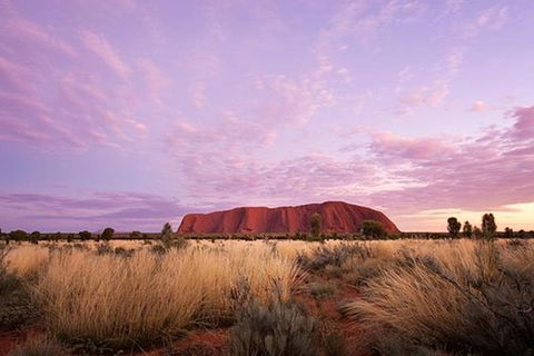 Sunset Australian Barbecue Dinner In Uluru - Accommodation Resorts 0