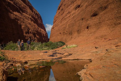 4 Day/3 Night Perentie Dreaming Safari - Accommodation Resorts 3
