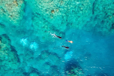 Private Standard Charter Experience In Whitsundays - Accommodation Resorts 5