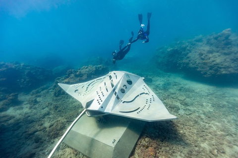 Private Standard Charter Experience In Whitsundays - Accommodation Resorts 7