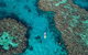 Full Day Snorkel In The Great Barrier Reef - thumb 1
