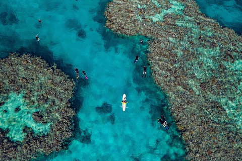 Full Day Snorkel In The Great Barrier Reef - Accommodation Resorts 1