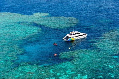 Full Day Snorkel In The Great Barrier Reef - Accommodation Resorts 6